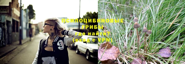 мдпв Михайловск