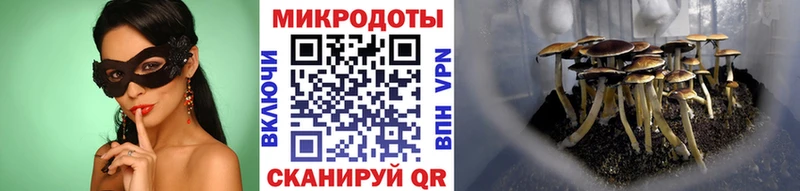 Псилоцибиновые грибы ЛСД  Щигры 